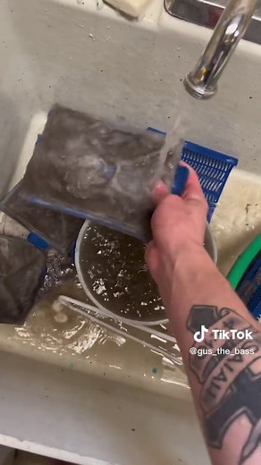 Avoiding Mistakes: Cleaning Your Fish Tank Filter Properly