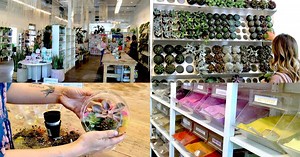 Jade & Clover: Phoenix shop with a DIY terrarium bar