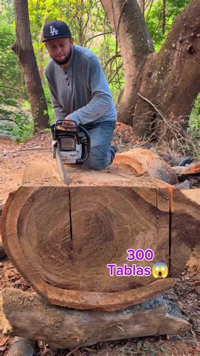 75 tablas en un día con mi motosierra😱😱 #usa_tiktok #chainsaw #usa🇺🇸 #asmr #woodwork