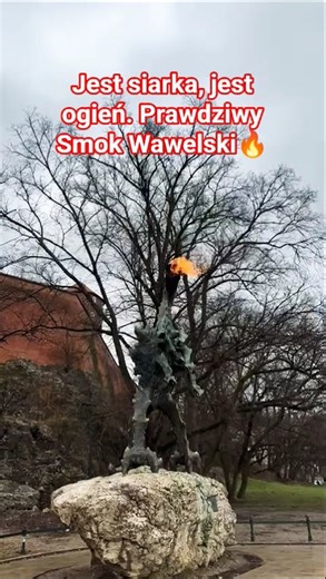 Jest siarka, jest ogień. Prawdziwy Smok Wawelski🔥 #everyone #highlights #kraków #Smok Wawelski