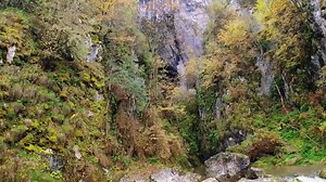 174 reactions · 7 comments | Pe ceața învârtindu-se în rotocoale și ploaia incertă, am deschis (larg) ochii, mi-am întins trupul să gust plăcerea desfășurării de necuprins... Nu mai sunt la vârsta cuvintelor eșuate în mii de ascunzișuri, imaginea vorbește (în locul meu, uneori despre mine, mai ales despre Natură)... | Radio Iaşi | Facebook