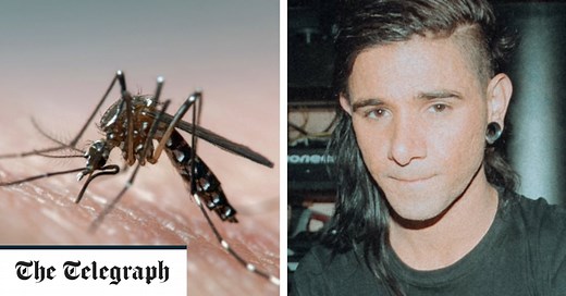 Dubstep music an effective mosquito repellent, study suggests