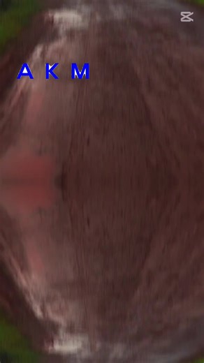 AKM Sale & Service သည် TikTok ပေါ်တွင် ရှိသည်