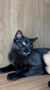 178K views · 57K reactions | 驪 Isso é o que acontece quando um tutor...