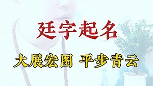 廷字取名好不好寓意是什么