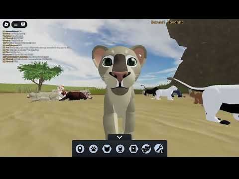 Testing Cub Model Session For ALP!