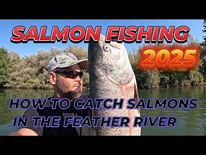 California Salmon Fishing how to catch salmon’s trolling + set up Feather River 🔥 2025
