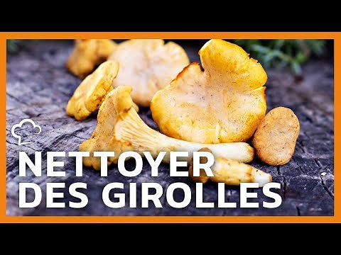 Cleaning Chanterelles | The Food'Cuisine