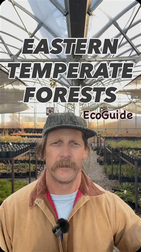 Native Plants Nursery on Instagram: "ECOGUIDE: The Eastern Temperate Forests. A 15-species native plant garden by ecoregion covers 44 sq ft. Measure your garden, then multiply. - #easterntemperateforest #ecoguide #ecoregion #nativeplantsokc"
