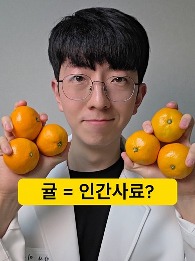 귤 먹는 법과 건강 정보