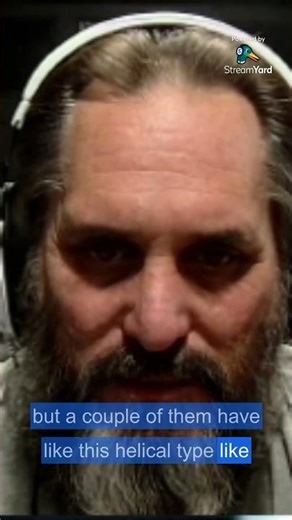 Fractal growth: it looks like mushrooms and mycelium