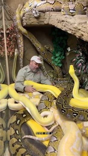 1. Why Do Snakes Sometimes Crawl Over Sleeping People Without Biting?#facts#trending #ytshorts