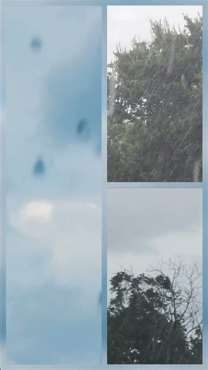 Raindrops & Wind #rainsounds #rainyday #rainfall #raining #windy #asmrshorts #wind
