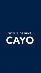 Cayo is a juvenile white shark tracked on the OCEARCH Global Shark Tracker, and her journey is helping scientists uncover vital knowledge about these iconic predators. By following Cayo’s movements, researchers gain insights into shark migration, habitat use, and how apex predators keep our ocean ecosystems in balance. Every ping from her tag provides real-time data that advances shark conservation, informs science, and protects the future of our seas. Cayo’s story is a powerful reminder of OCEA