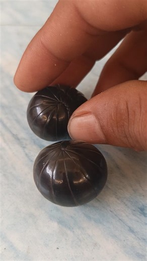 Tiny Creature, Big Surprise! Millipede Moment 🐛😲 #millipedeworld #pillmillipede #shorts