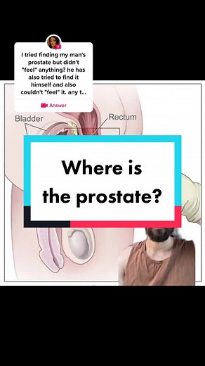 Understanding Prostate Location and Stimulation Techniques