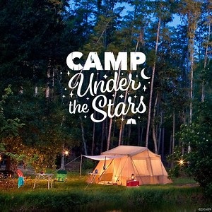 193 reactions · 31 shares | Camp in the great outdoors with a variety of Campsites, from tents to full size motorhomes, when you stay in the magic at Disney's Fort Wilderness Resort and Campground. ️ | Walt Disney World | Facebook
