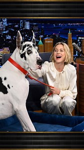 3M views · 69K reactions | #NaomiWatts introduces Jimmy to her 150-lb co-star Bing the Great Dane 凉 #FallonTonight | The Tonight Show Starring Jimmy Fallon | Facebook