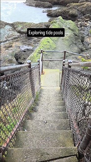 Tide pools at Salt Creek Recreation Area, Washington. #solotravel #hiking #pnwtravel