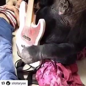 Check out Koko rockin' Fleas bass 󾌵❤️ | Red Hot Chili Family