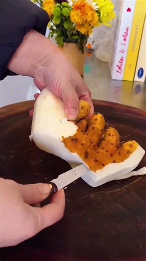 Decompress with HandmadeDelicacies: Easy Food Tutorials for Delightful Bites