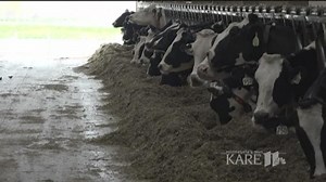 See the new tech changing the dairy industry