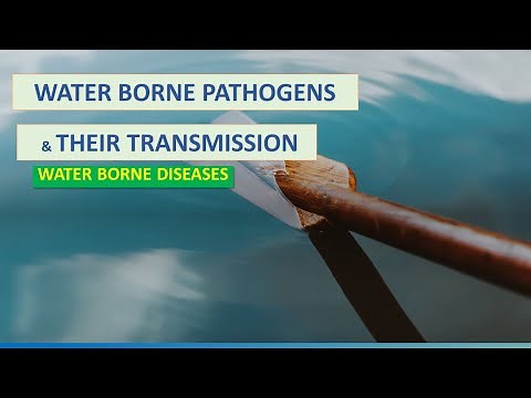 WATERBORNE DISEASES (WATERBORNE PATHOGENS & THEIR TRANSMISSION) - ENVIRONMENTAL MICROBIOLOGY