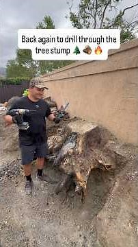How to drill through a tree stump #diy #home #tree #stump #project #house