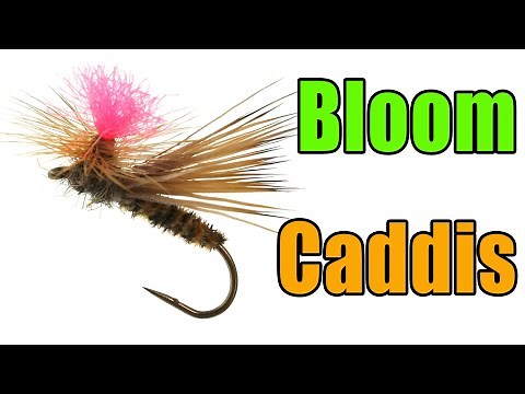 Bloom Caddis Fly Tying - Dave Bloom Fly Pattern