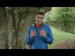 Understanding old and ancient tress and how to manage them for biodiversity