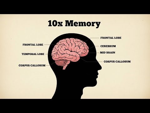 Why Most People Have Weak Memory (No One Talks About This)