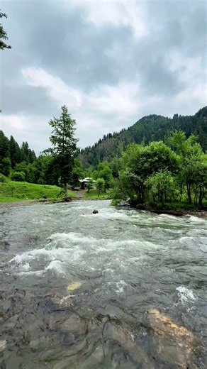 Discover the Beauty of Kashmir: A Traveler's Guide