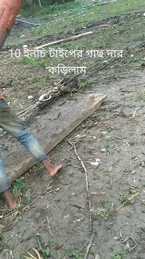 Laying Pipes: Manual Labor in a Rural Area