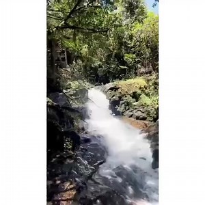 Get ready to Explore Obudu cattle ranch with us and @japanow.ng this December! Don’t miss out, Follow @japanow.ng for more details #portharcourtspecials | Portharcourt Specials