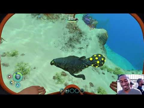 Subnautica Episode 1| Sea adventure begins now |