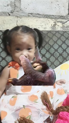 Every Time I Come and Go: A Sloth-Inspired Meme