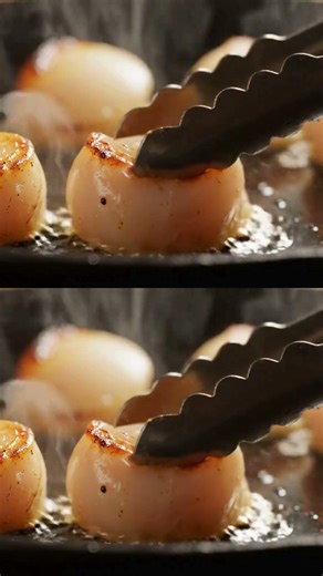 Fresh Scallops Cooking to Perfection