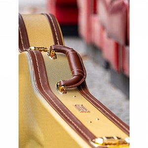 ES 335 Electric Guitar Case | CRW620SA | Crossrock