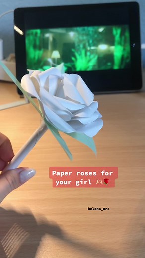 DIY Paper Rose Tutorial for Your Special Someone