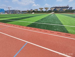 [Hot Item] EPDM Rubber Granules for Running Track