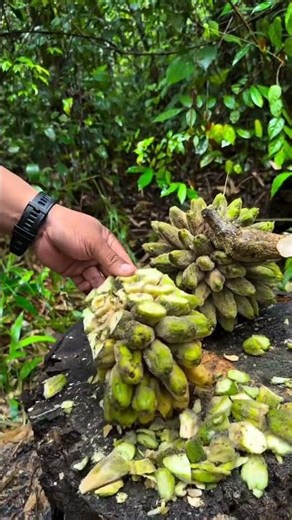 Saba Banana Fruit Cutting