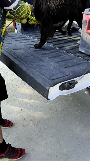 UPDATE: Oliver and Rango are now safe at home. Why? because they had microchips. Chips save lives. We offer FREE microchips Monday through Friday at Kerr County Animal Services 3600 Loop 534 in Kerrville. Hours are 8 to Noon and 1 to 5. Is Oliver your dog? He just showed up at our Pet Food Pantry with another Black fluffy dog. He is microchipped and we have his owner’s information however, we can’t reach his owner. Please share. He is safe now. We are trying to safely capture the other dog. Call