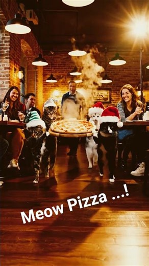 🍕 It’s about to all spill ...!!! 🎅🎄 #Ai #Cats #Pizza #shorts #christmas