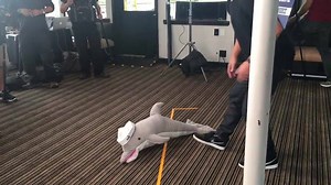 437K views · 16K reactions | Stephen Amell on Reels | Facebook