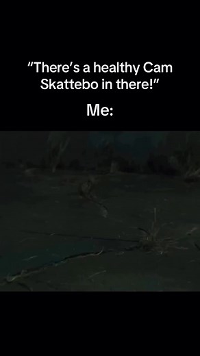 173K views · 3.3K reactions | Get well soon Skattebo  | Sleeper | Facebook