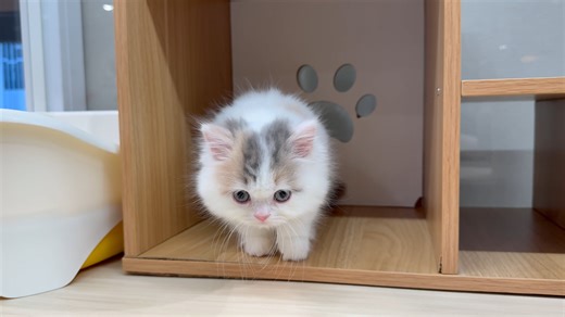 2026011963408_ext_63_0