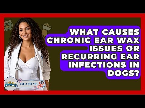 What Causes Chronic Ear Wax Issues Or Recurring Ear Infections In Dogs? - Ask A Pet Vet