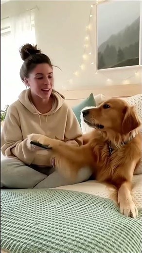 The dog got upset seeing the girl singing 💥😭