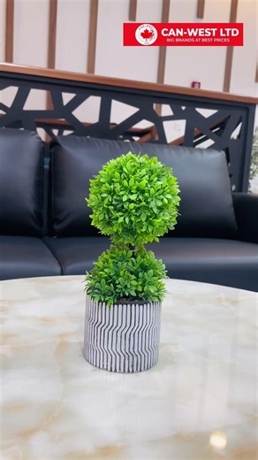 Evergreen Decors at Canwest Limited