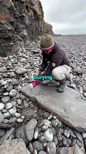 Why You Should NOT Walk Past This Rock